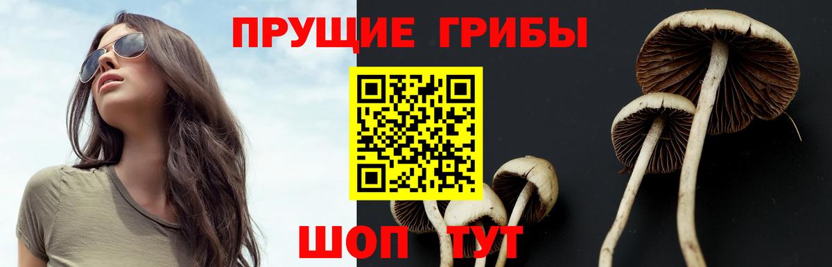 Галлюциногенные грибы Cubensis Ростов Великий